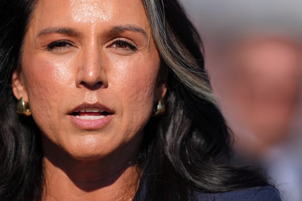 ‘Bizarrely and personally lurking’: Gabbard’s appearance at FBI election raid alarms Dems