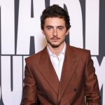 Timothée Chalamet Makes the Red Carpet Case for the Brown Suit