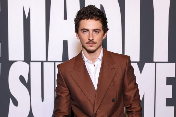 Timothée Chalamet Makes the Red Carpet Case for the Brown Suit