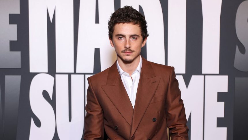Timothée Chalamet Makes the Red Carpet Case for the Brown Suit