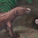 250-Million-Year-Old Fossil Reveals Origins of Our Unique Hearing : ScienceAlert