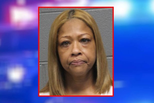 8 years for hit-and-run driver who killed road construction worker near Belmont Harbor