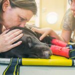 A guide to costs and coverage