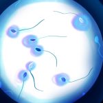 A ‘guy-necologist’? Startups push semen analysis as male Pap smears