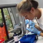 A lab on wheels is tracking HIV spread in war-torn Ukraine