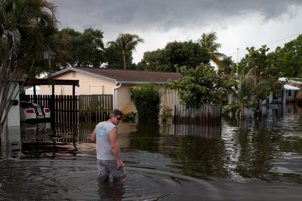 A massive climate resilience program is escaping Florida’s DOGE
