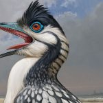 A mouth built for efficiency may have helped the earliest bird fly