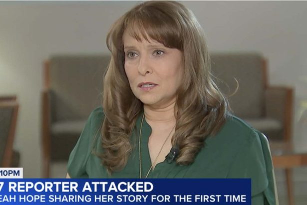 ABC7 reporter speaks out after violent carjacking attack in the Loop: ‘We need to do more’