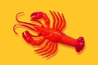 After all the hype, some AI experts don’t think OpenClaw is all that exciting