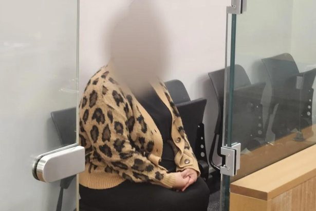 Alleged romance scammer accused of duping Dunedin man appears in court