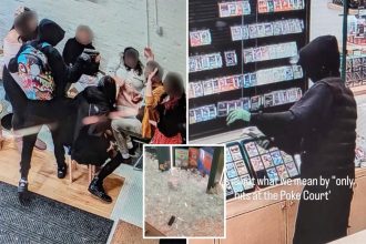 Alleged wheelman for brazen armed crew who snatched 6K in rare Pokémon cards from NYC shop is busted: feds