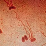 Ancient Killer Is Rapidly Gaining Resistance to Antibiotics, Scientists Warn : ScienceAlert