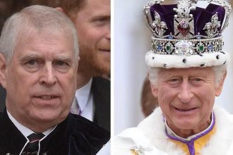 Andrew Windsor Could Become ‘Squatter’ in Temporary Home