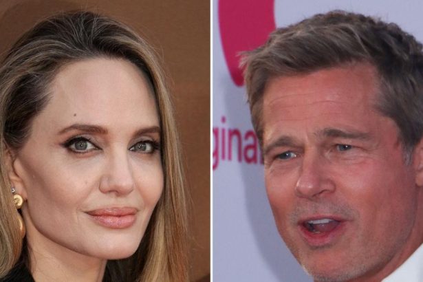 Angelina Jolie’s Enormous ‘Stress’ Taking a Toll on Skeletal Star