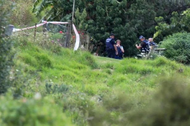 Animal Control at property on day before fatal dog attack