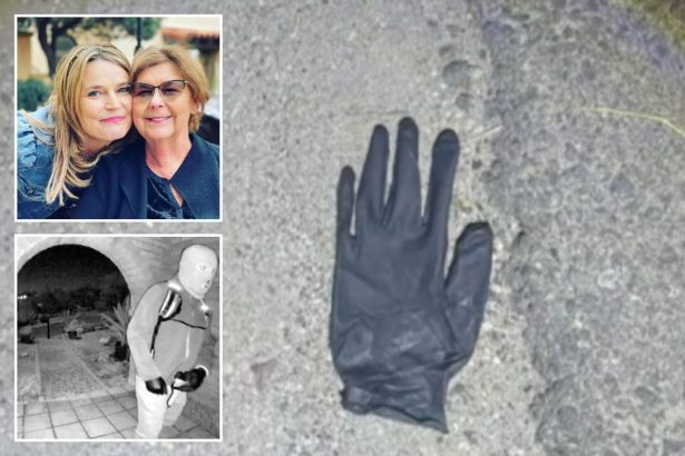 Arizona couple found bloodied black glove, blood on rock in desert mile from Nancy Guthrie home