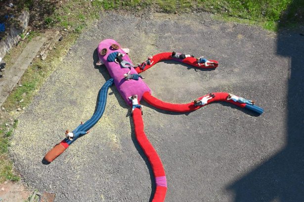 Artist Sets Guinness World Record for Largest Sock Monkey
