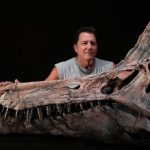 Astonishing Spinosaur Unearthed in The Sahara Is Unlike Any Seen Before : ScienceAlert