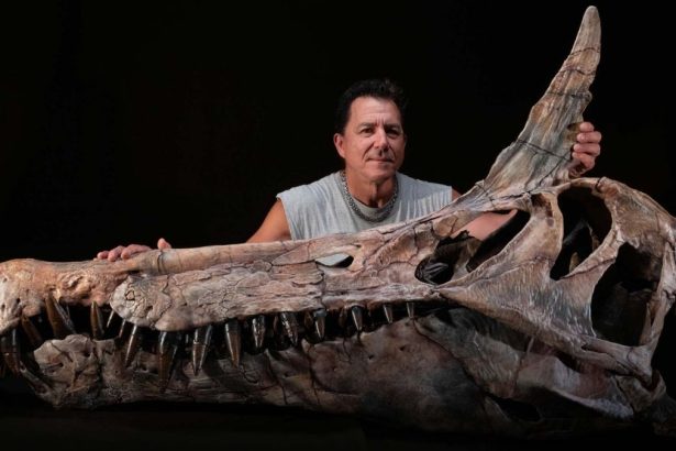 Astonishing Spinosaur Unearthed in The Sahara Is Unlike Any Seen Before : ScienceAlert