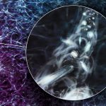 Astronomers spot one of the largest spinning structures in the universe