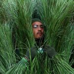 Bad Bunny Halftime Show Extra Spills On His Time Inside The Grass At Super Bowl