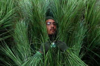 Bad Bunny Halftime Show Extra Spills On His Time Inside The Grass At Super Bowl