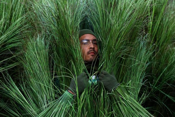 Bad Bunny Halftime Show Extra Spills On His Time Inside The Grass At Super Bowl