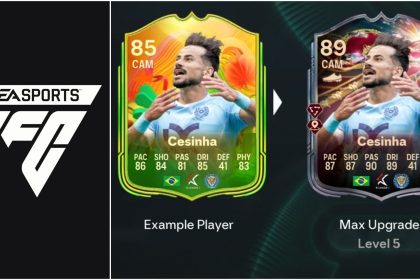 Best players to use, all upgrades and requirements