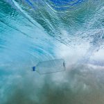 Beyond the Quantum review: A remarkable book on quantum mechanics reveals a really big idea