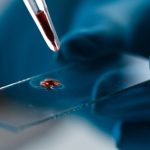 Blood Test ‘Clock’ Can Predict Alzheimer’s Symptoms Before They Emerge : ScienceAlert