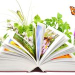 Books To Get You Garden-Ready