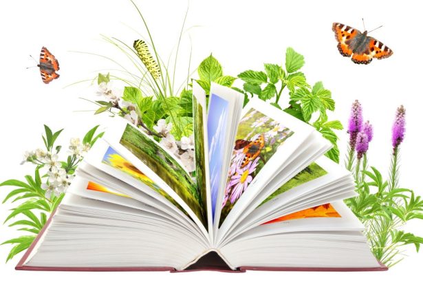 Books To Get You Garden-Ready