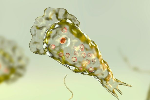 Brain-Eating Amoebas May Pose a Growing Global Threat, Scientists Warn : ScienceAlert