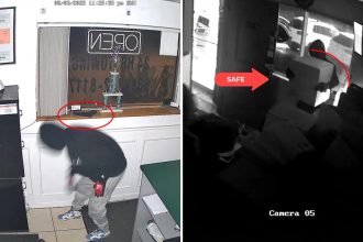 Brazen Long Island auto-theft crew busted in 17-day, multi-state crime blitz