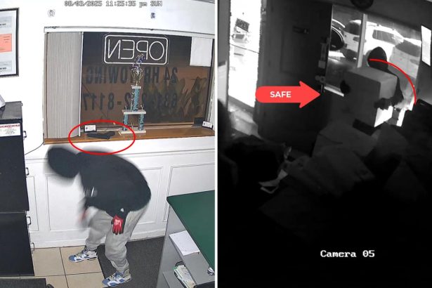 Brazen Long Island auto-theft crew busted in 17-day, multi-state crime blitz