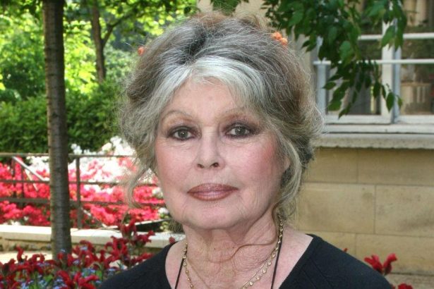 Brigitte Bardot’s Legacy Marred By Prejudiced Politics, Parenting