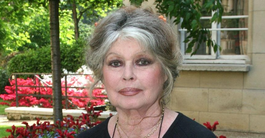 Brigitte Bardot’s Legacy Marred By Prejudiced Politics, Parenting