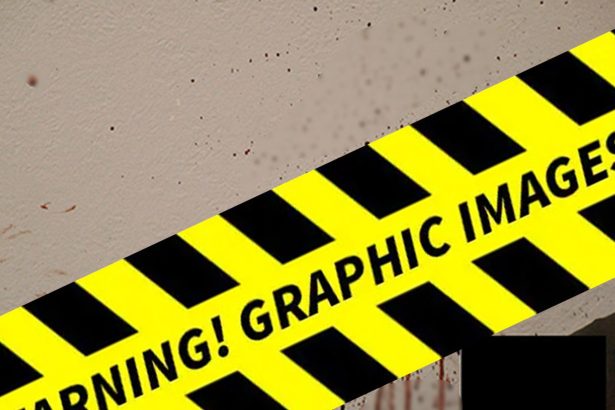 Bryan Kohberger’s Bloody Murder Spree Seen In New Photo Dump