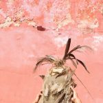 Kublaiklan collective, towards a collaborative photography