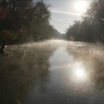 Carpet Chemicals Catastrophe Brings Media Outlets Together for Probe