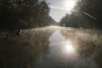 Carpet Chemicals Catastrophe Brings Media Outlets Together for Probe