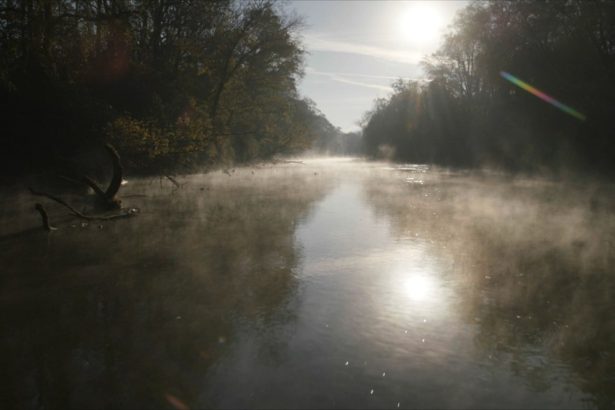 Carpet Chemicals Catastrophe Brings Media Outlets Together for Probe