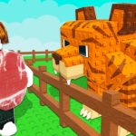 Catch and Tame: A beginner’s guide