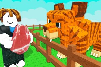 Catch and Tame: A beginner’s guide