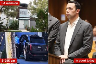 Charity bigshot Alexander Soofer busted for M fraud in California runs scared after court date