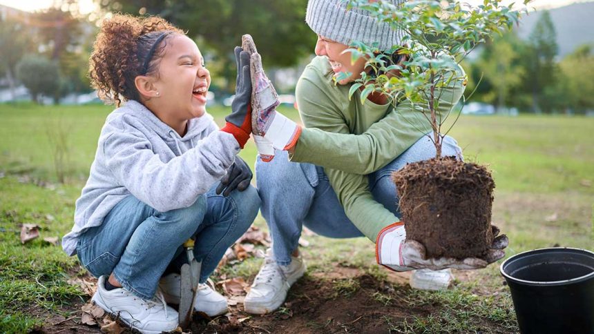 Check Out These Great Gardening Tips