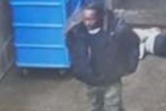 Chicago police seek man who attacked woman in Logan Square