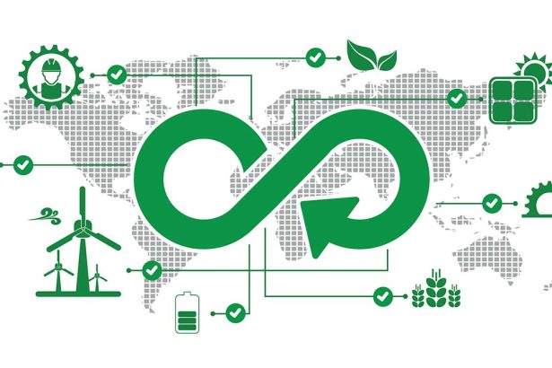 Circular Economy Startups to Watch in 2026