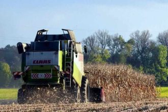 Corn Posting Early Turnaround Tuesday Gains