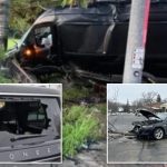 Crazed agitators attacking DHS vehicles at an alarming rate: ‘Incited violence’